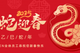 辭舊迎新，蛇舞華章丨深圳容金科技全體員工祝您新春快樂！
