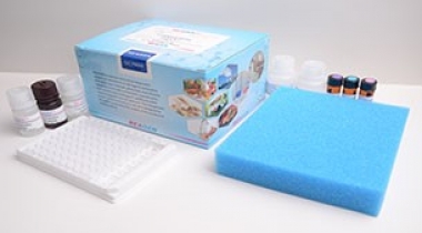 Melamine ELISA Test Kit