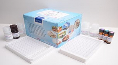 Melamine ELISA Test Kit
